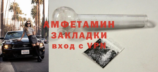 мдпв Елабуга
