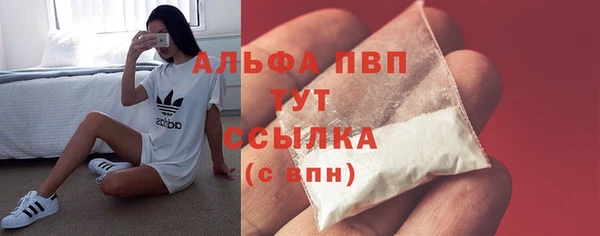 мдпв Елабуга