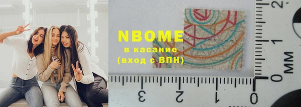 мдпв Елабуга