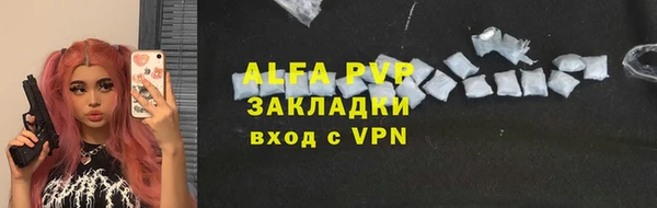 мдпв Елабуга
