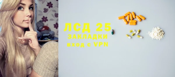 мдпв Елабуга