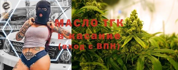 мдпв Елабуга