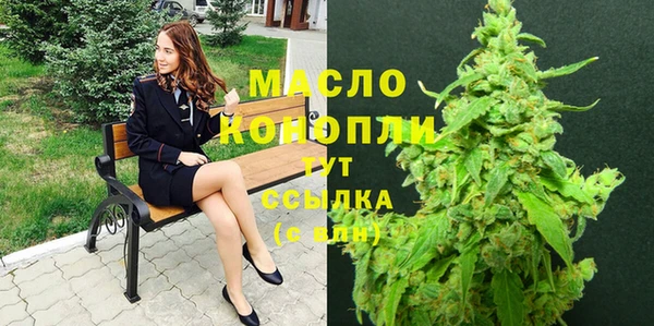 первитин Ельня