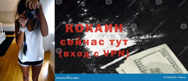 мдпв Елабуга