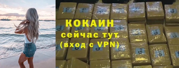 мдпв Елабуга