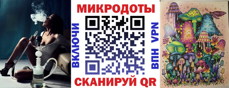 Купить закладки  Нальчик  Галлюциногенные грибы Psilocybe 